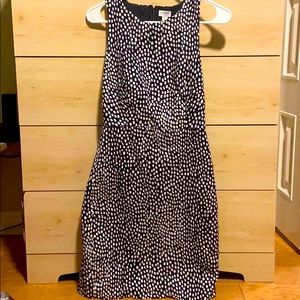 J Crew - Navy white polka dot sheath dress